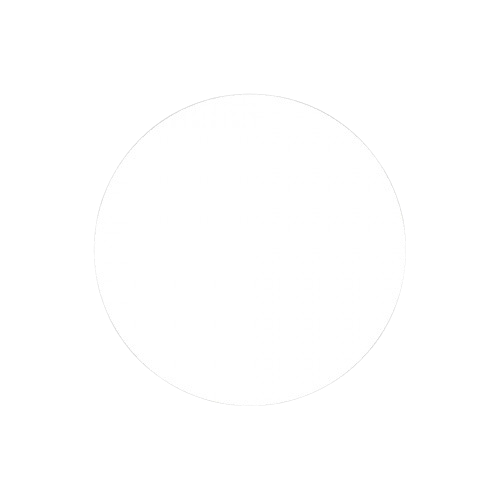 Bullet point icon