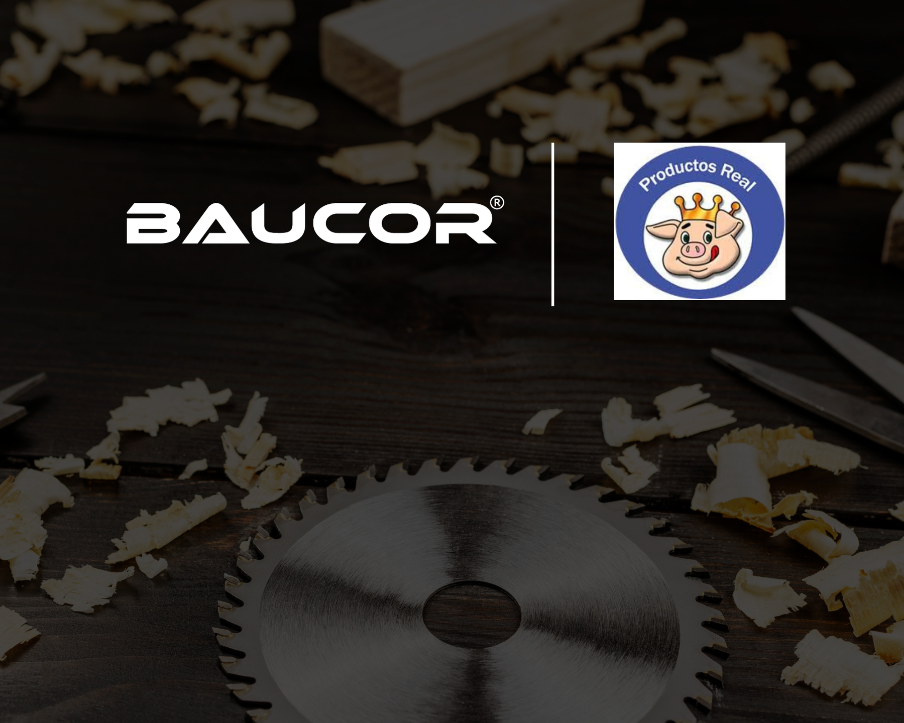 Productos Real arbeitet mit Baucor zusammen für Präzision, Leistung und zuverlässige Klingentechnologie